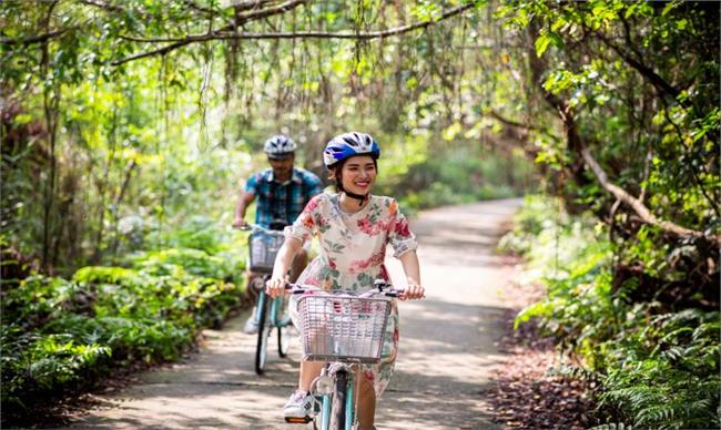 Cycling in Viet Hai Village